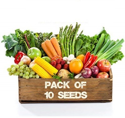 CYBEXIS Fast grow 10 Variety of Vegetable Seeds Seed(10 g)