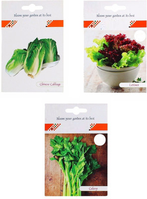 CYBEXIS 3-Varieties-Chinese Cabbage, Lettuce, Celery Seed(10 g)