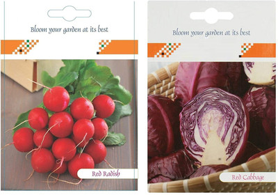 VibeX 2-Varieties-Red Radish, Red Cabbage Seed(70 per packet)