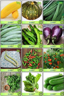 CYBEXIS Seeds Combo Vegetable Seeds Seed(10 g)