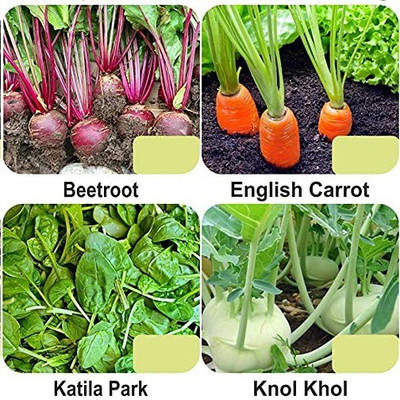 CYBEXIS 4-Varieties-Top Selling Vegetable Seeds Combo Seed(5 g)
