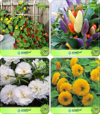 CYBEXIS Plant Seeds Organic Combo Seed(10 g)