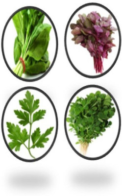VibeX Organics Leaf Seeds Combo Seed(140 per packet)
