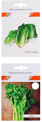 VibeX 2-Varieties-Chinese Cabbage, Celery Seed(70 per packet)