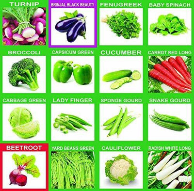 VibeX Vegetable Seeds Pack Seed(1750 per packet)