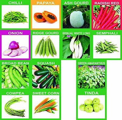 VibeX 40 Varieties of Vegetables Seeds Combo Seed(1400 per packet)