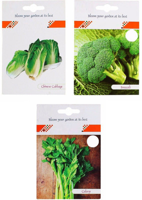 VibeX 3-Varieties-Chinese Cabbage, Broccoli, Celery Seed(105 per packet)