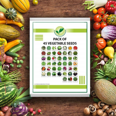 VibeX Vegetable Seeds Combo For Home Garden Seed(1575 per packet)