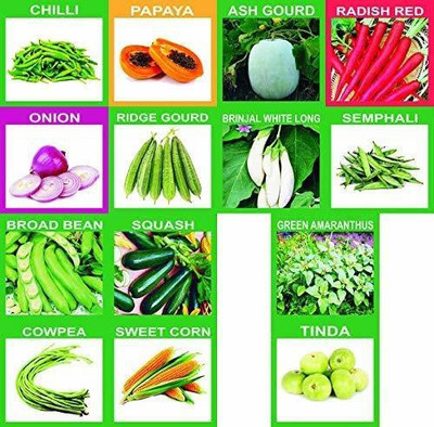 CYBEXIS (Organic/Hybrid) Fruits & Vegetables Seed Seed(10 g)
