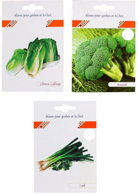 VibeX 3-Varieties-Chinese Cabbage, Broccoli, Leek Seed(105 per packet)
