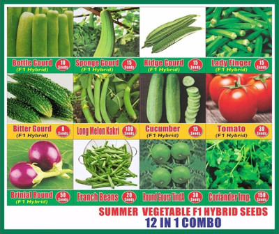 CYBEXIS Summer Vegetable Hybrid Seeds Combo (12 in 1) Seed(10 g)