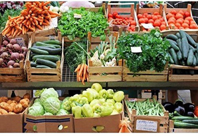 VibeX vegetable seed Seed(525 per packet)
