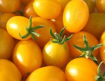 Paudha Tomato Yellow Grape Seed(16 per packet)