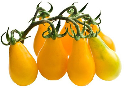 XOLDA Tomato Yellow Grape Seed(15 per packet)