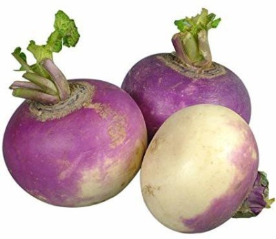 PBTA Shaljam, Purple Turnip, Shalgam, Shalgom, Shalgham, Sherasa Seed(10 per packet)