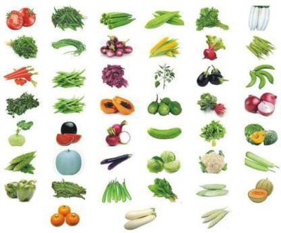Seedshub Vegetable seeds combo, 20 variety seeds Seed(30 per packet)