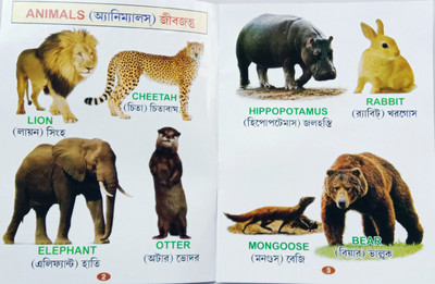 Animals Kingdom For Nursery Kid's(Paperback, Editorial Team)