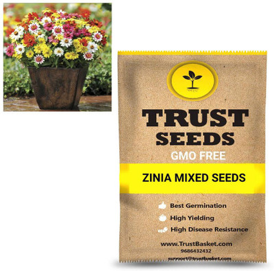 TrustBasket Zinnia Seeds Seed(15 per packet)