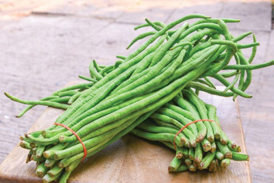 Paudha Lobiya Seed(53 per packet)