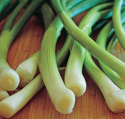 Paudha Bunching Onion Seed(51 per packet)