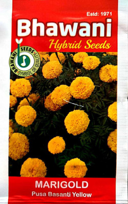 Bhawaniseeds Marigold Busa Basanti, Marigold Seed(100 per packet)