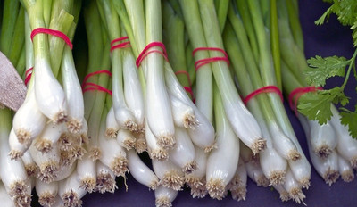 Mozette Bunching Onion Vegetable Seed(27 per packet)