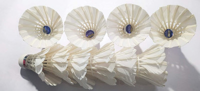 Spocco ®Badminton Shuttle Cock High Quality Feather Shuttle Cock - FH 677 Feather Shuttle  - White(Medium, 77, Pack of 10)