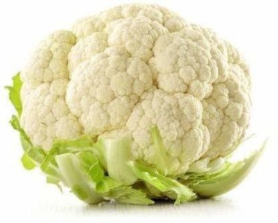 WILLVINE PAU -XI F1 Hybrid Early White Hybrid Cauliflower [1g, 300 Seeds] Seed(300 per packet)