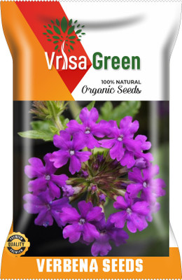 Vrisa Green VERBENA MIXED Seed(50 per packet)