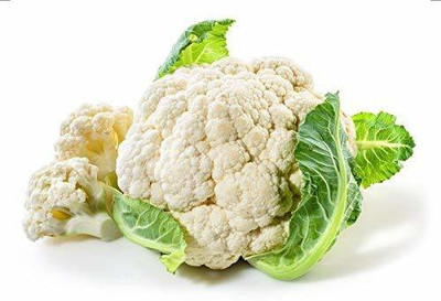CYBEXIS HUA-65 - F1 Hybrid Cauliflower - (1350 Seeds) Seed(1350 per packet)