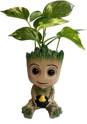 The Craft Store Baby Groot Avengers Multipurpose action Figure 5.5 inch(Green)