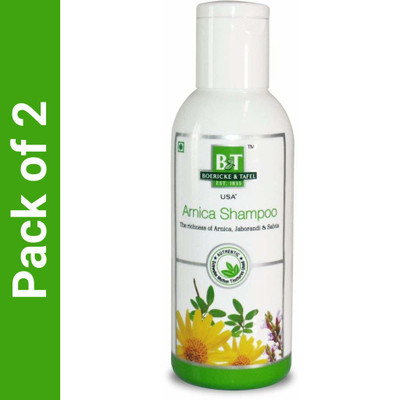 Dr.Willmar Schwabe India B&T Arnica Shampoo N/A Liquid(2 x 250)
