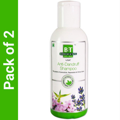 Dr.Willmar Schwabe India B&T Anti Dandruff Shampoo N/A Liquid(2 x 150)