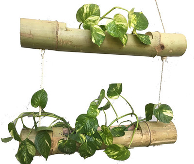 YUVI CREATIONS 2 - STEPS BAMBOO POT FOR PLANTS Plant Container Set(Wood)