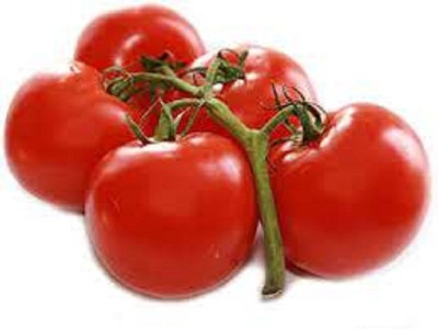 Earth Angels Early Girl tomato seeds Seed(50 per packet)