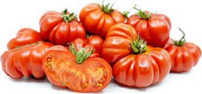 Sjeme Costoluto Genovese tomato seeds Seed(20 per packet)