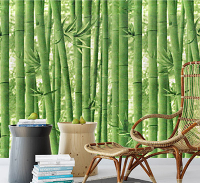 Oren Empower Vinyl, Paper Decorative Green Wallpaper(L x W: 330 cm x 45 cm)