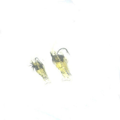 JUST ONE CLICK Soft Bait Silicone Fishing Lure(Pack of 2, Size 3)
