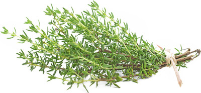 XOLDA Thyme Seed(26 per packet)