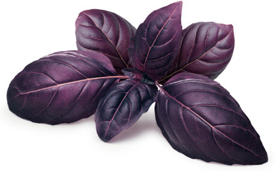 Mozette Basil purple Seed(27 per packet)
