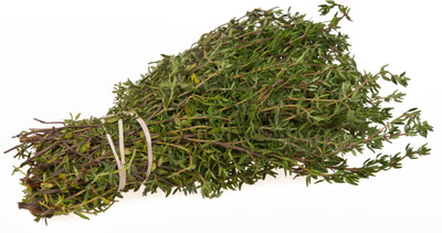XOLDA Thyme Seed(45 per packet)