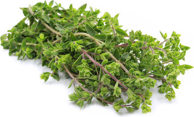 Mozette Marjoram Seed(22 per packet)