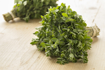 Paudha Marjoram Seed(30 per packet)