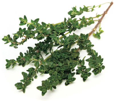 Paudha Thyme Seed(30 per packet)