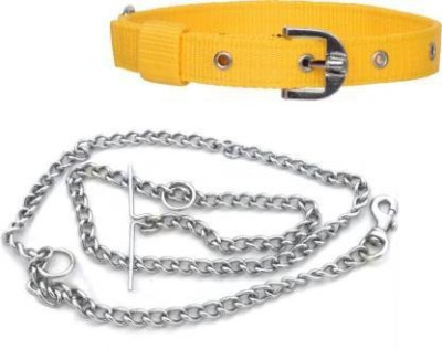 havish Dog Collar & Chain(Large, YELLOW, sliver)