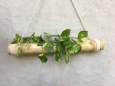 YUVI CREATIONS HANGING BAMBOO POT WITH FREE GARDEN GLOVES INDOOR/OUTDOOR Plant Container Set(Wood)