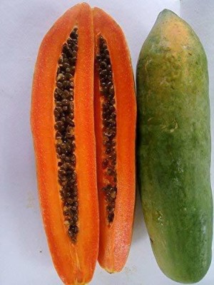 Profound Thai Papaya Dwarf Variety Sweet Delicious Fruit Seeds, pack of 50 seeds Seed(50 per packet)