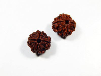 Urancia Very Exclusive Four Face Chatur Mukhi 4 Mukhi Char mukhi Rudrakh 2Pcs a lot Wood Pendant
