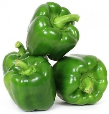 gkseeds capsicum Seed(40 per packet)