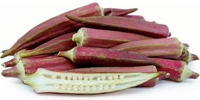 XOLDA Okra Red Seed(37 per packet)